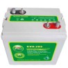 SLA Golf Cart Battery
