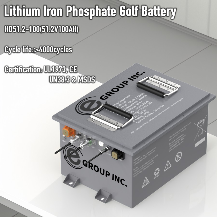 Lithium Iron Phosphate Battery (LiFePO4)